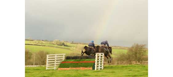 Schooling Jumps